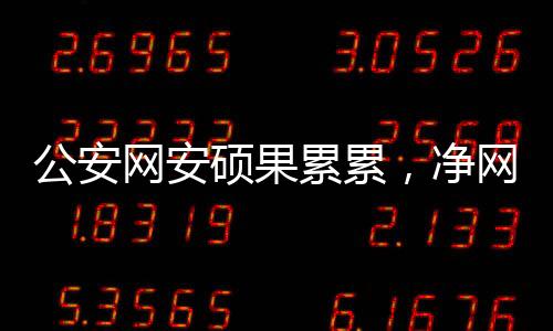 公安網(wǎng)安碩果累累，凈網(wǎng)2024行動(dòng)取得顯著成效