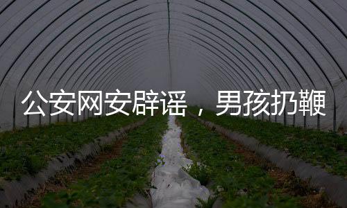 公安網(wǎng)安辟謠，男孩扔鞭炮賠580萬系謠言