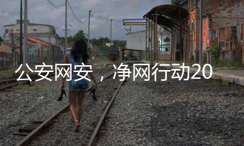 公安網(wǎng)安，凈網(wǎng)行動2024取得顯著成效，助力網(wǎng)絡空間安全建設新篇章