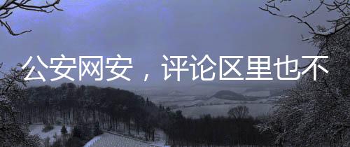 公安網(wǎng)安，評(píng)論區(qū)里也不可造謠