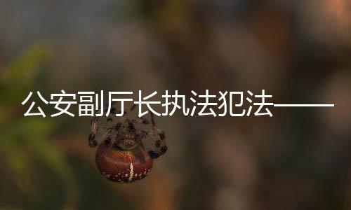 公安副廳長執(zhí)法犯法——權(quán)威調(diào)查揭秘事件內(nèi)幕