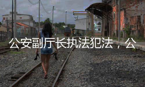 公安副廳長執(zhí)法犯法，公眾正義與法治精神的較量（標題）