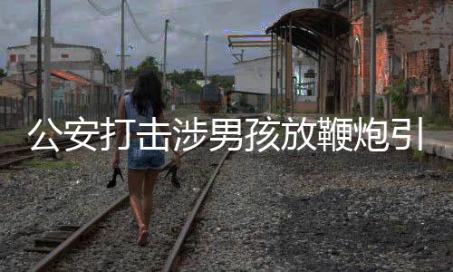 公安打擊涉男孩放鞭炮引爆沼氣謠言的新聞稿
