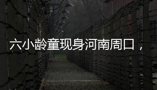 六小齡童現(xiàn)身河南周口，傳統(tǒng)文化藝術(shù)活動引人矚目