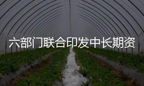 六部門聯(lián)合印發(fā)中長(zhǎng)期資金入市方案，資本市場(chǎng)迎新機(jī)遇