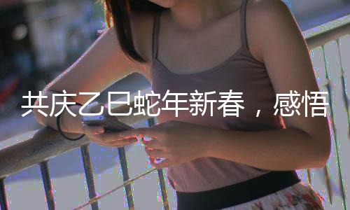 共慶乙巳蛇年新春，感悟中華文化魅力