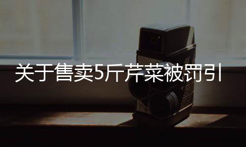 關(guān)于售賣5斤芹菜被罰引發(fā)關(guān)注——代表委員提出熱議與建議