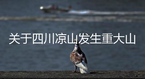 關于四川涼山發(fā)生重大山體滑坡不實信息的澄清