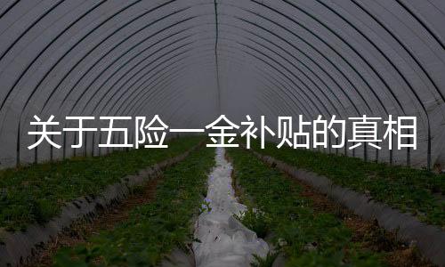 關(guān)于五險一金補貼的真相揭秘——警惕虛假宣傳