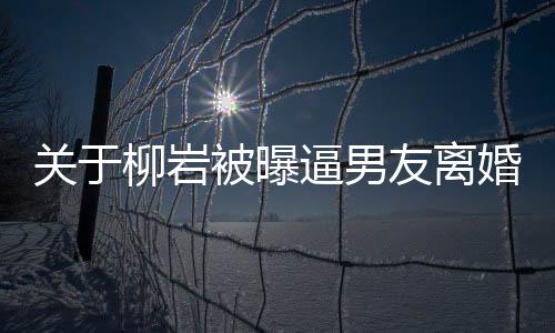 關(guān)于柳巖被曝逼男友離婚的事件報道
