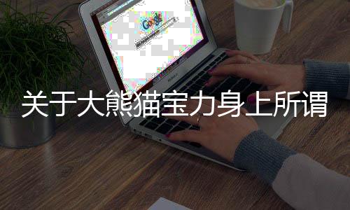 關(guān)于大熊貓寶力身上所謂洞傷痕累累的真相揭秘