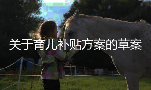 關(guān)于育兒補貼方案的草案擬定與解析