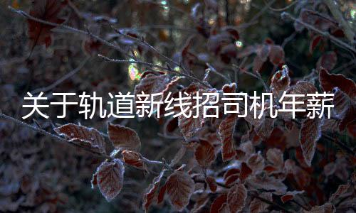 關(guān)于軌道新線招司機(jī)年薪8-10萬(wàn)的辟謠文章