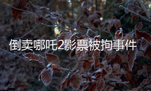 倒賣哪吒2影票被拘事件曝光深度剖析非法票務(wù)市場的內(nèi)幕