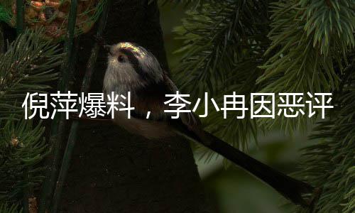 倪萍爆料，李小冉因惡評壓力退出繁花群——探尋事件背后的真相