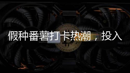假種番薯打卡熱潮，投入十萬(wàn)背后的故事與反思