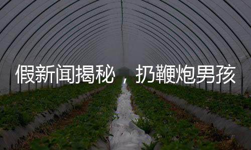 假新聞揭秘，扔鞭炮男孩家屬追責(zé)九部門事件真相