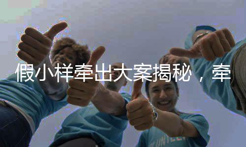 假小樣牽出大案揭秘，牽出驚天的三千三百萬(wàn)商業(yè)欺詐案揭秘！一段隱匿復(fù)雜案件的小故事揭曉錯(cuò)綜復(fù)雜的網(wǎng)絡(luò)商業(yè)陷阱，讓人心驚膽顫。本文將為您詳細(xì)剖析這起案件的始末，揭示其背后隱藏的真相。接下來(lái)，讓我們跟隨這篇文章的脈絡(luò)，一探究竟。