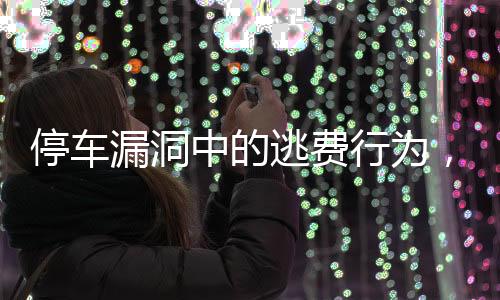 停車漏洞中的逃費行為，揭秘71次違規(guī)停車逃費事件