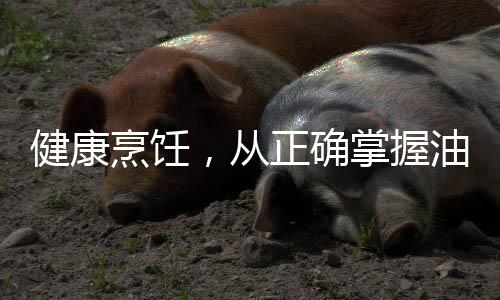健康烹飪，從正確掌握油溫開始——別等油冒煙了再炒菜