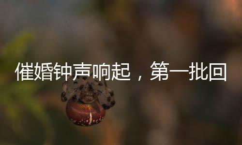 催婚鐘聲響起，第一批回家過(guò)年的人故事揭曉