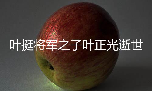 葉挺將軍之子葉正光逝世，緬懷一位偉大家族的傳承與貢獻(xiàn)