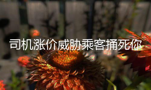 司機(jī)漲價(jià)威脅乘客捅死你，暴力行為引發(fā)社會(huì)關(guān)注被警方抓獲