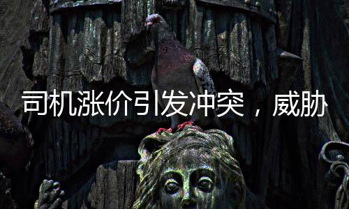 司機漲價引發(fā)沖突，威脅乘客稱捅死你，最終被抓