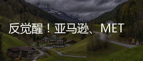 反覺醒！亞馬遜、META等大公司開始拋棄DEI