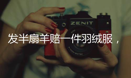 發(fā)半扇羊賠一件羽絨服，背后的故事與爭議