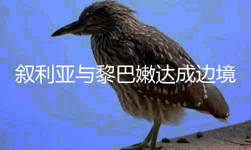 敘利亞與黎巴嫩達(dá)成邊境?；饏f(xié)議，兩國(guó)邁向和平的新篇章