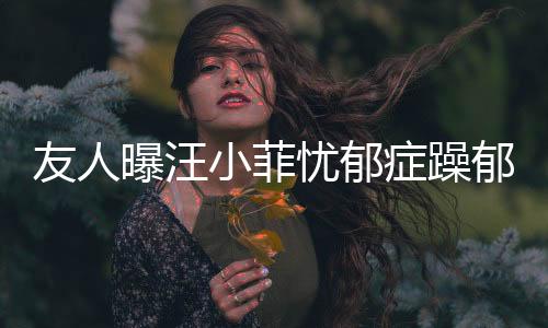 友人曝汪小菲憂郁癥躁郁癥復(fù)發(fā)，引發(fā)社會(huì)關(guān)注