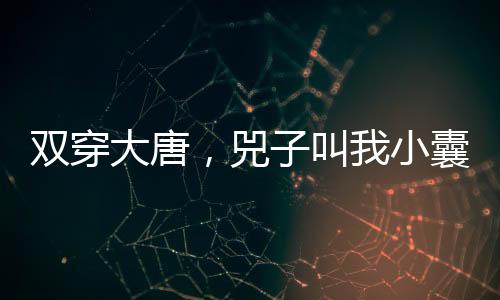 雙穿大唐，兕子叫我小囊君