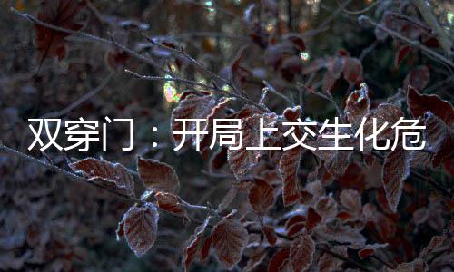 雙穿門：開局上交生化危機(jī)副本