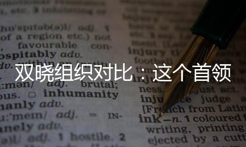 雙曉組織對比：這個首領(lǐng)真要革命