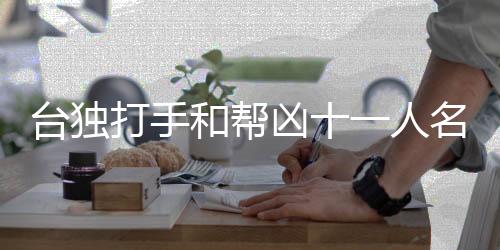 臺獨打手和幫兇十一人名單公布，揭示臺獨分子丑陋真面目