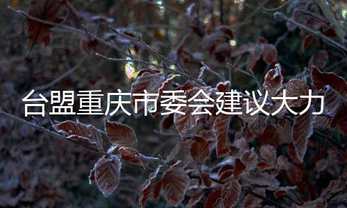 臺盟重慶市委會建議大力開展涉臺教育進校園活動