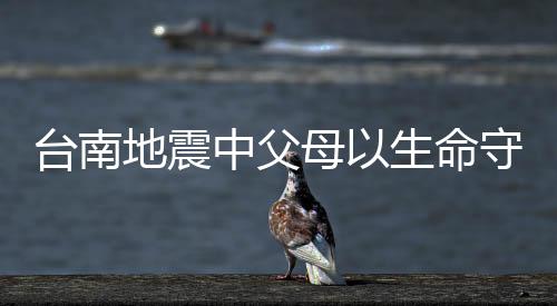 臺(tái)南地震中父母以生命守護(hù)孩子的英勇之舉