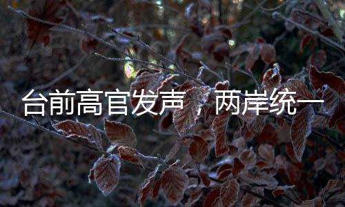 臺前高官發(fā)聲，兩岸統(tǒng)一的時刻越來越近