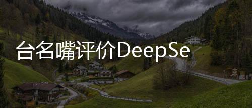 臺(tái)名嘴評(píng)價(jià)DeepSeek，夸張得不得了