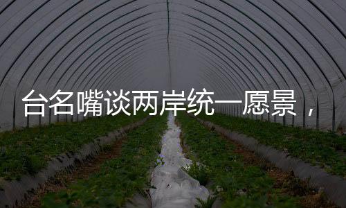 臺名嘴談兩岸統(tǒng)一愿景，甘之如飴，期待全面實現(xiàn)