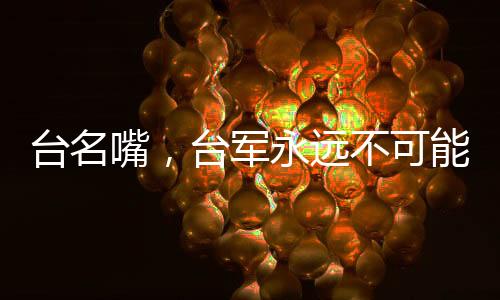 臺名嘴，臺軍永遠不可能打贏解放軍