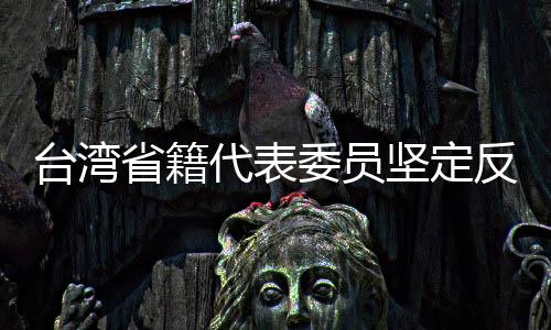 臺灣省籍代表委員堅定反分裂反干涉立場
