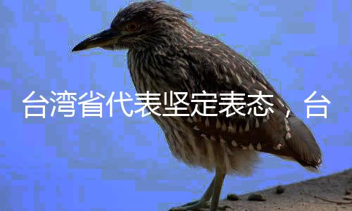 臺(tái)灣省代表堅(jiān)定表態(tài)，臺(tái)灣最大的靠山就是祖國(guó)