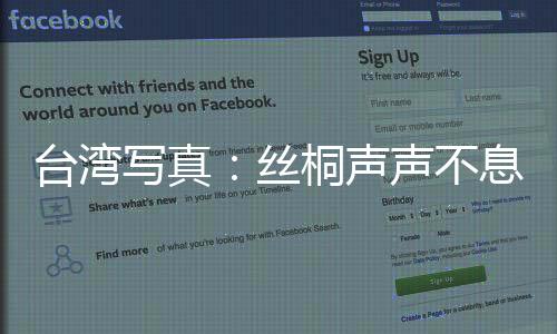 臺(tái)灣寫真：絲桐聲聲不息 古琴在臺(tái)灣民間傳承