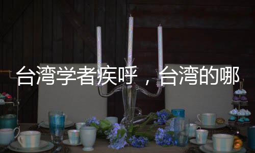 臺灣學(xué)者疾呼，臺灣的哪吒在哪里