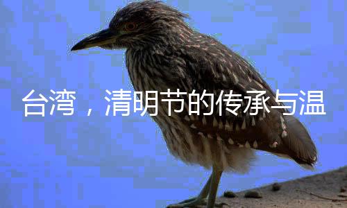 臺灣，清明節(jié)的傳承與溫情
