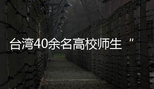 臺(tái)灣40余名高校師生“登陸”觀影《哪吒之魔童鬧海》