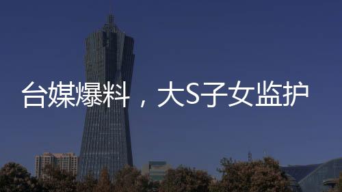 臺媒爆料，大S子女監(jiān)護權(quán)移交汪小菲