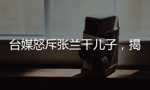 臺媒怒斥張?zhí)m干兒子，揭示事件背后的真相